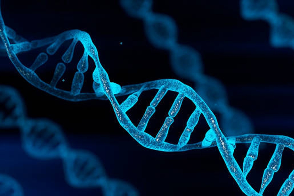 Reveal My DNA Report Review